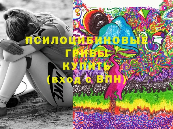 герыч Вязьма