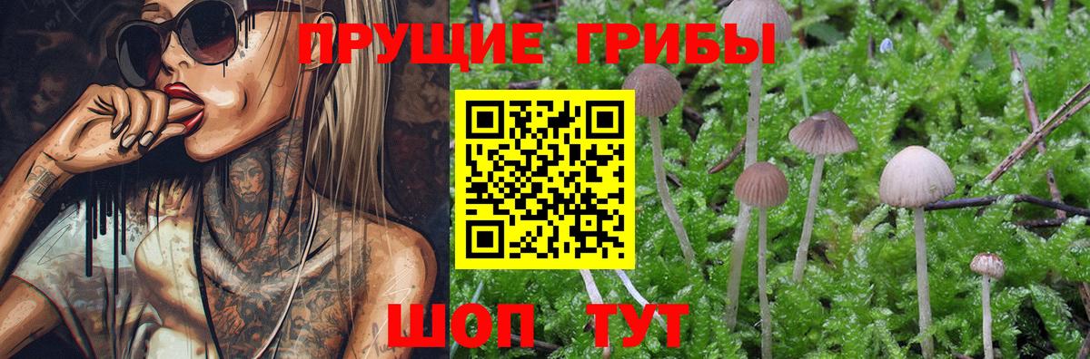 Галлюциногенные грибы мицелий  Псилоцибиновые грибы Magic Shrooms  Реж  Вход с VPN 