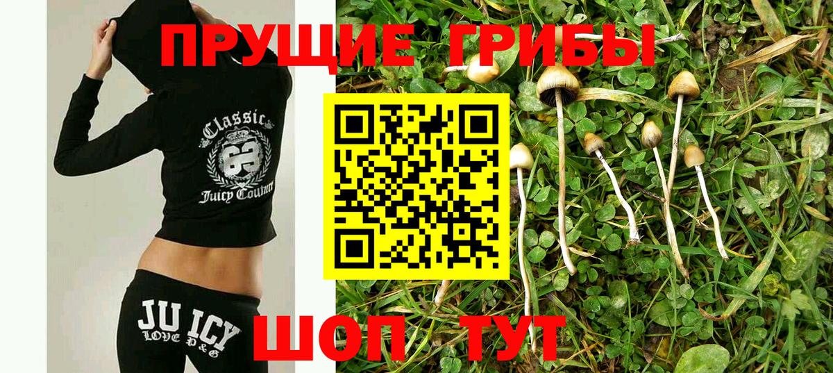 Псилоцибиновые грибы GOLDEN TEACHER Реж